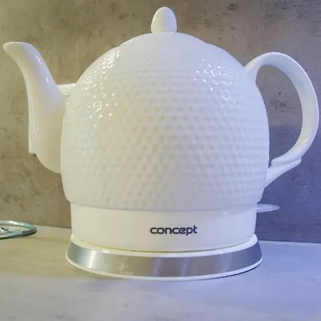 Modern Pricna 4 * 布拉格