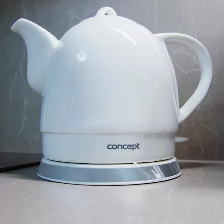 Modern Pricna 4 * 布拉格