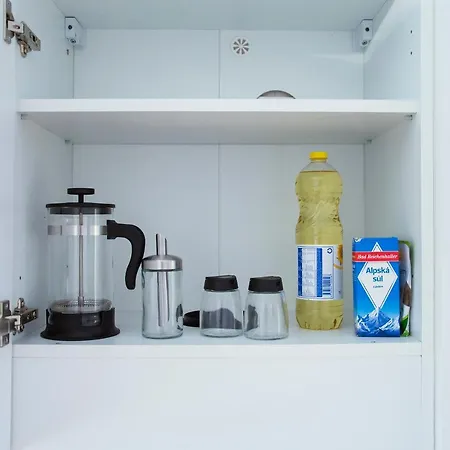 公寓 Modern Pricna 4 布拉格