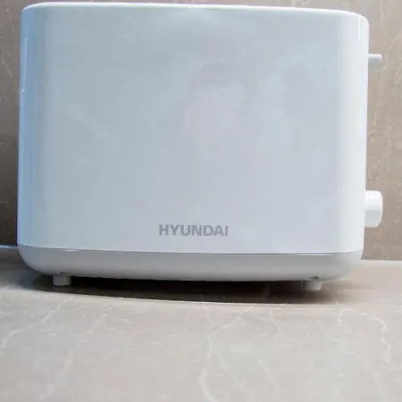 Modern Pricna 4 * 布拉格